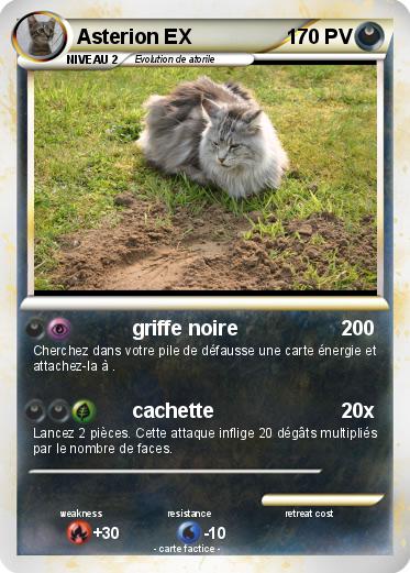Pokemon Asterion EX