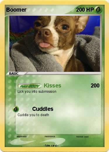 Pokemon Boomer