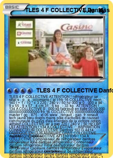 Pokemon TLES 4 F COLLECTIVE Danfoss