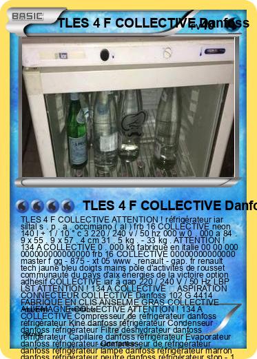 Pokemon TLES 4 F COLLECTIVE Danfoss