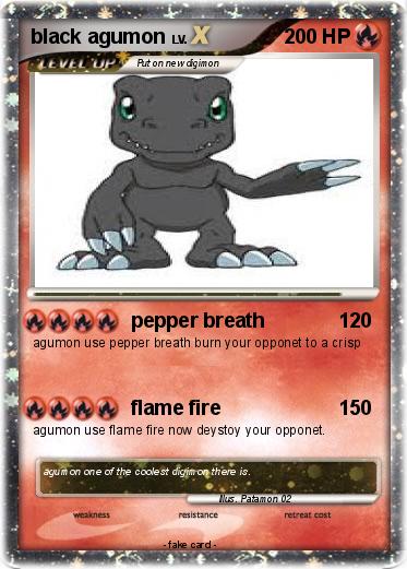 Pokemon black agumon