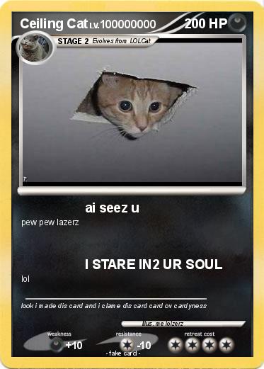 Pokemon Ceiling Cat