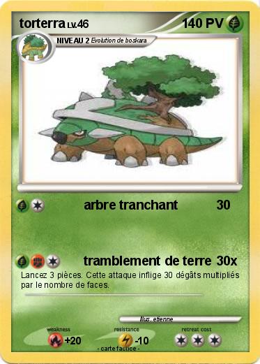 Pokemon torterra