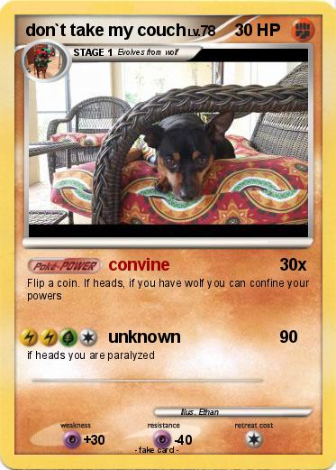 Pokemon don`t take my couch