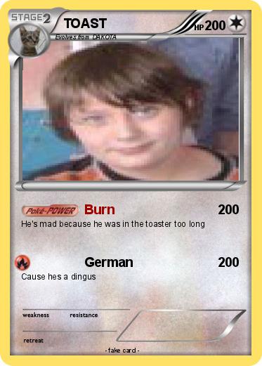 Pokemon TOAST