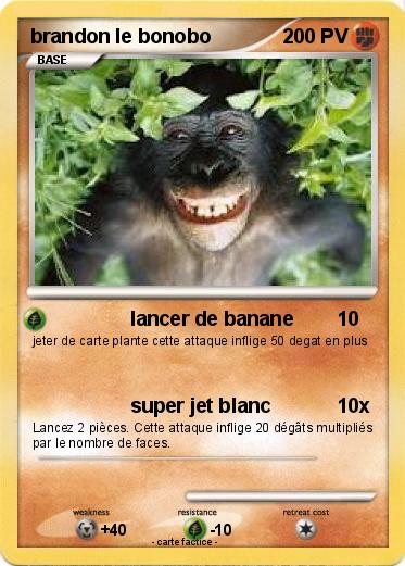 Pokemon brandon le bonobo