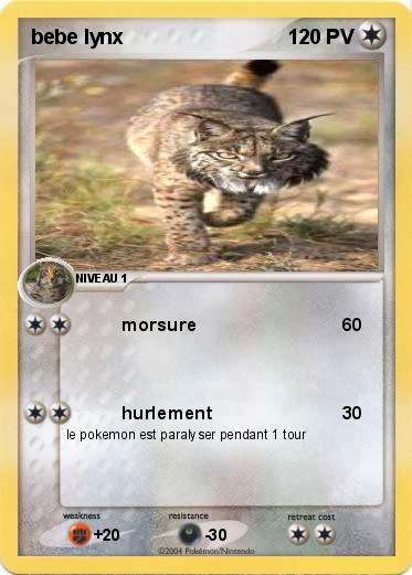 Pokemon bebe lynx
