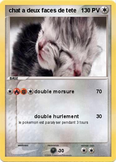 Pokemon chat a deux faces de tete