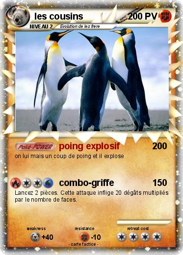 Pokemon les cousins