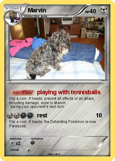Pokemon Marvin