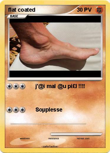 Pokemon flat coated