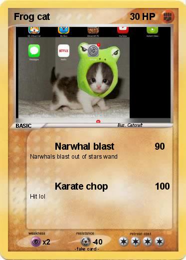 Pokemon Frog cat