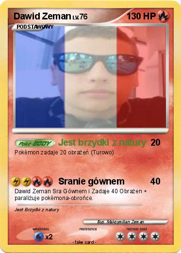Pokemon Dawid Zeman
