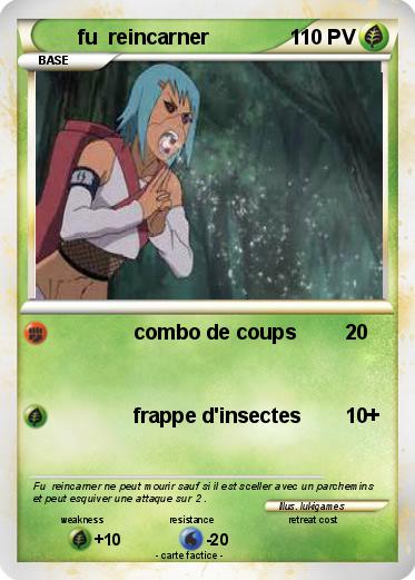 Pokemon fu  reincarner