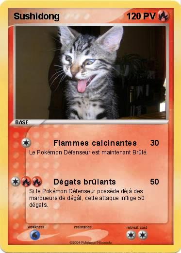 Pokemon Sushidong