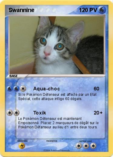 Pokemon Swannine
