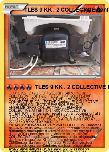 Pokemon TLES 9 KK . 2 COLLECTIVE Danfoss ™