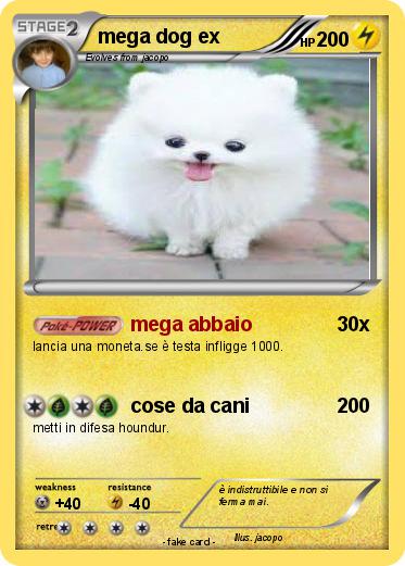 Pokemon mega dog ex