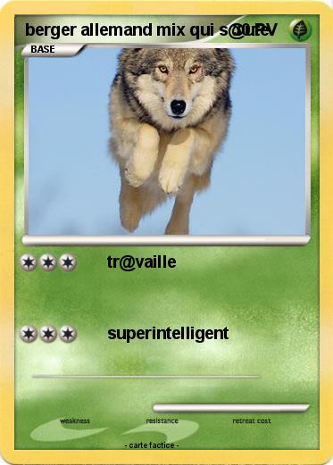Pokemon berger allemand mix qui s@ute