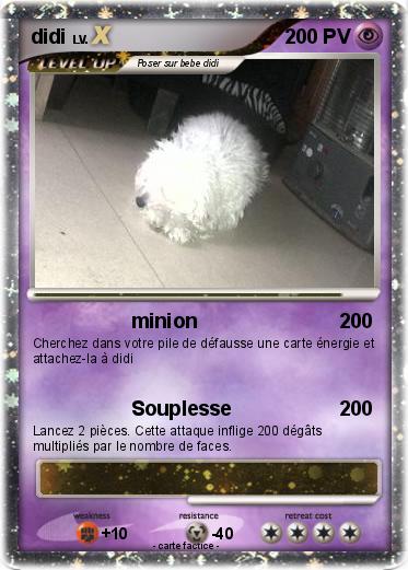 Pokemon didi