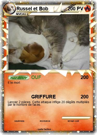 Pokemon Russel et Bob