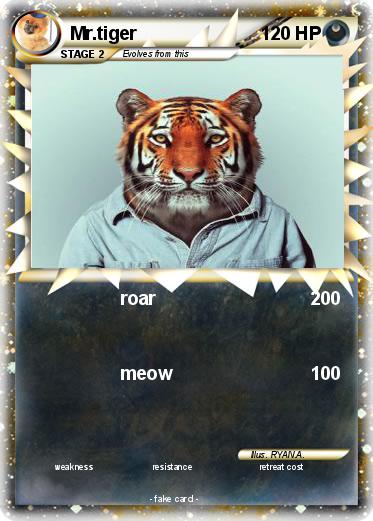 Pokemon Mr.tiger