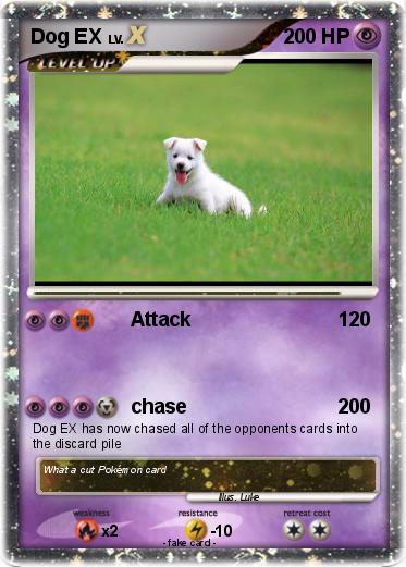 Pokemon Dog EX