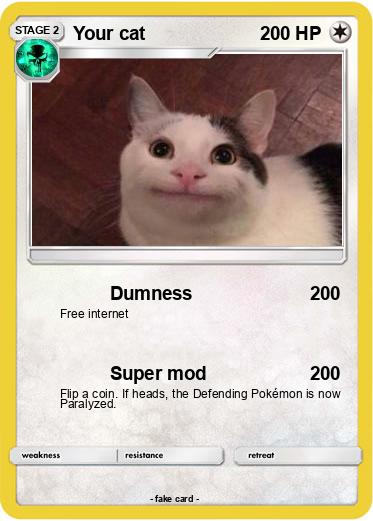 Pokemon Your cat