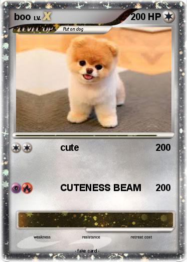 Pokemon boo