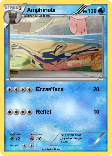Pokemon Amphinobi