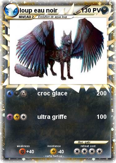 Pokemon loup eau noir
