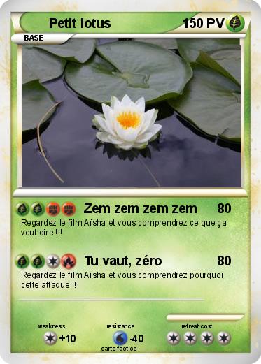 Pokemon Petit lotus