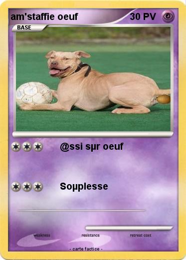 Pokemon am'staffie oeuf