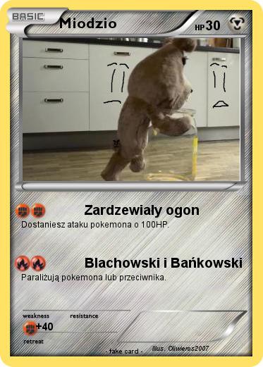 Pokemon Miodzio