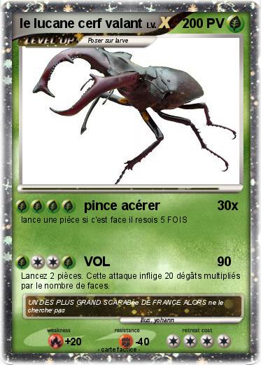 Pokemon le lucane cerf valant