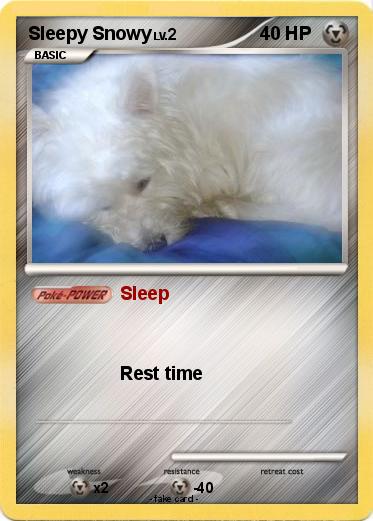 Pokemon Sleepy Snowy