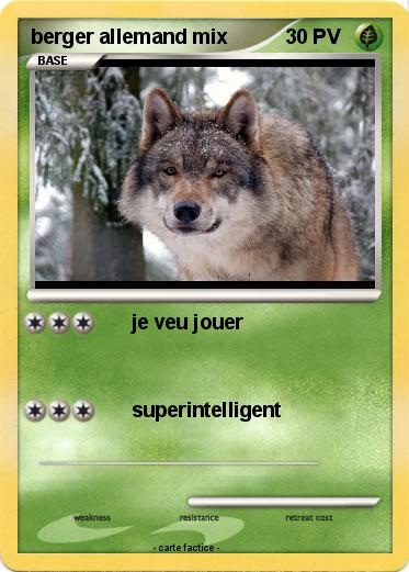Pokemon berger allemand mix