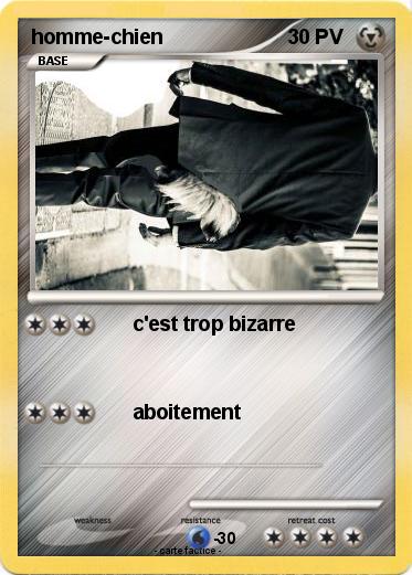 Pokemon homme-chien