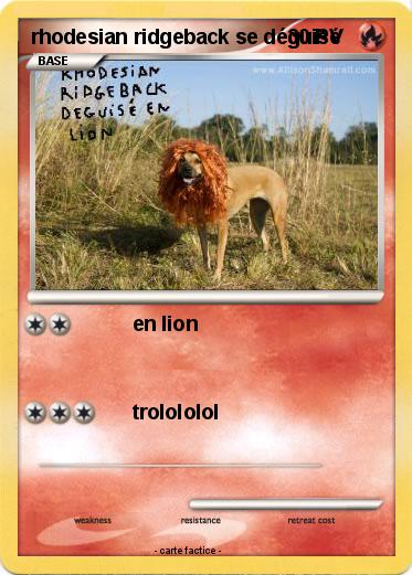 Pokemon rhodesian ridgeback se déguisé