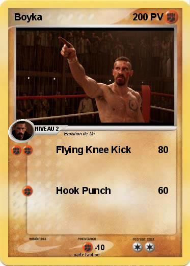 Pokemon Boyka