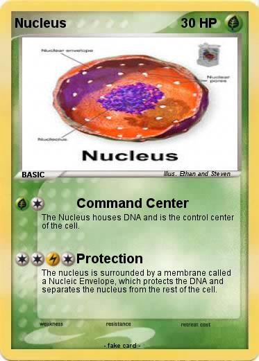 Pokemon Nucleus
