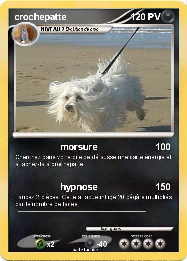 Pokemon crochepatte