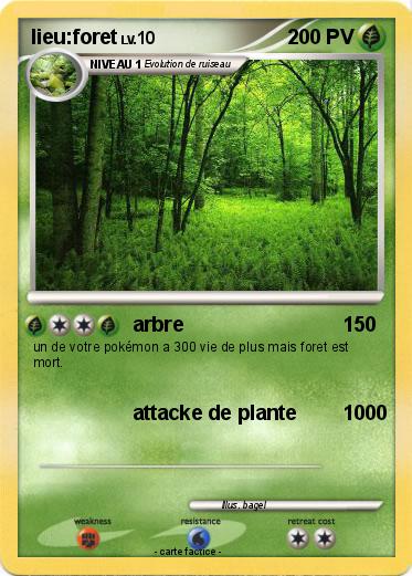 Pokemon lieu:foret