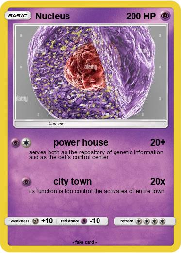 Pokemon Nucleus