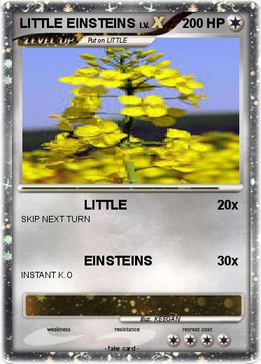 Pokemon LITTLE EINSTEINS