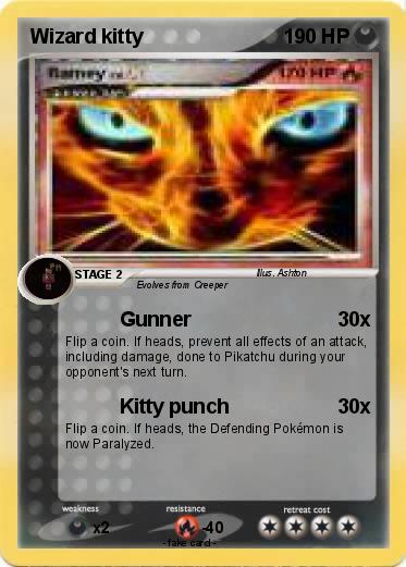 Pokemon Wizard kitty