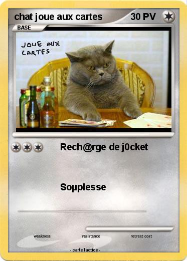 Pokemon chat joue aux cartes