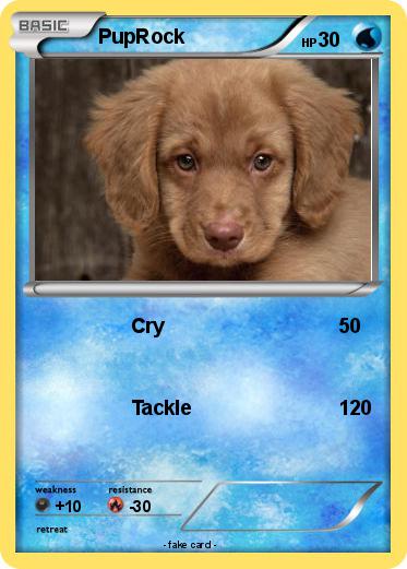 Pokemon PupRock