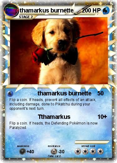 Pokemon thamarkus burnette