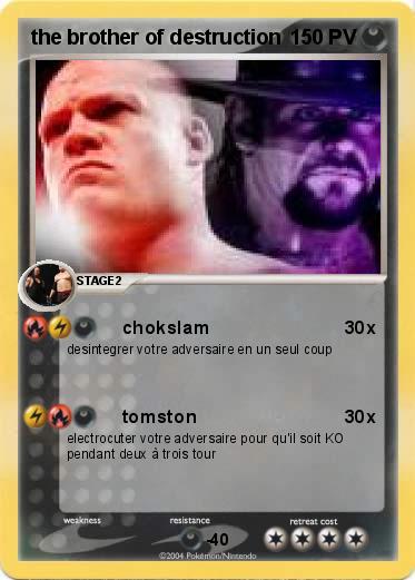 Pokemon the brother of destruction